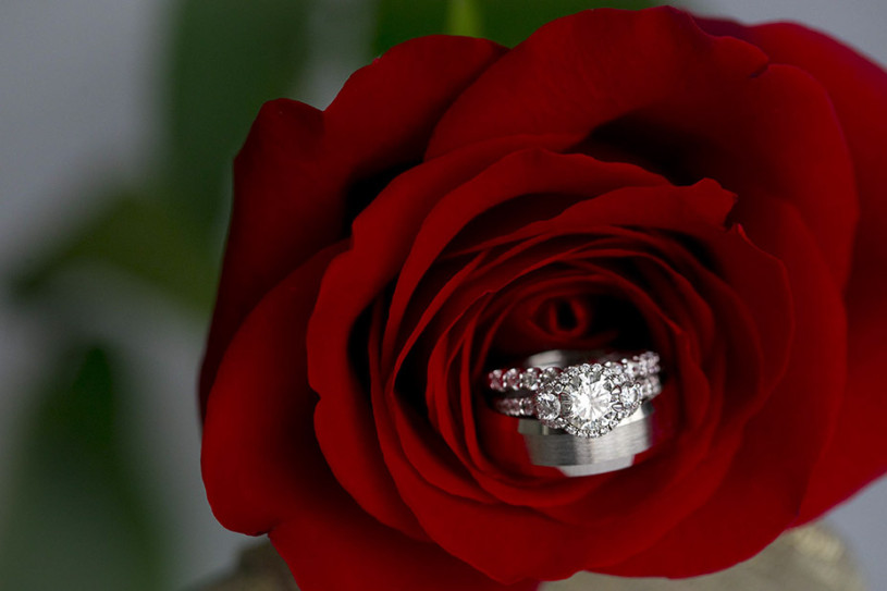 kassab-rings-rose-wedding